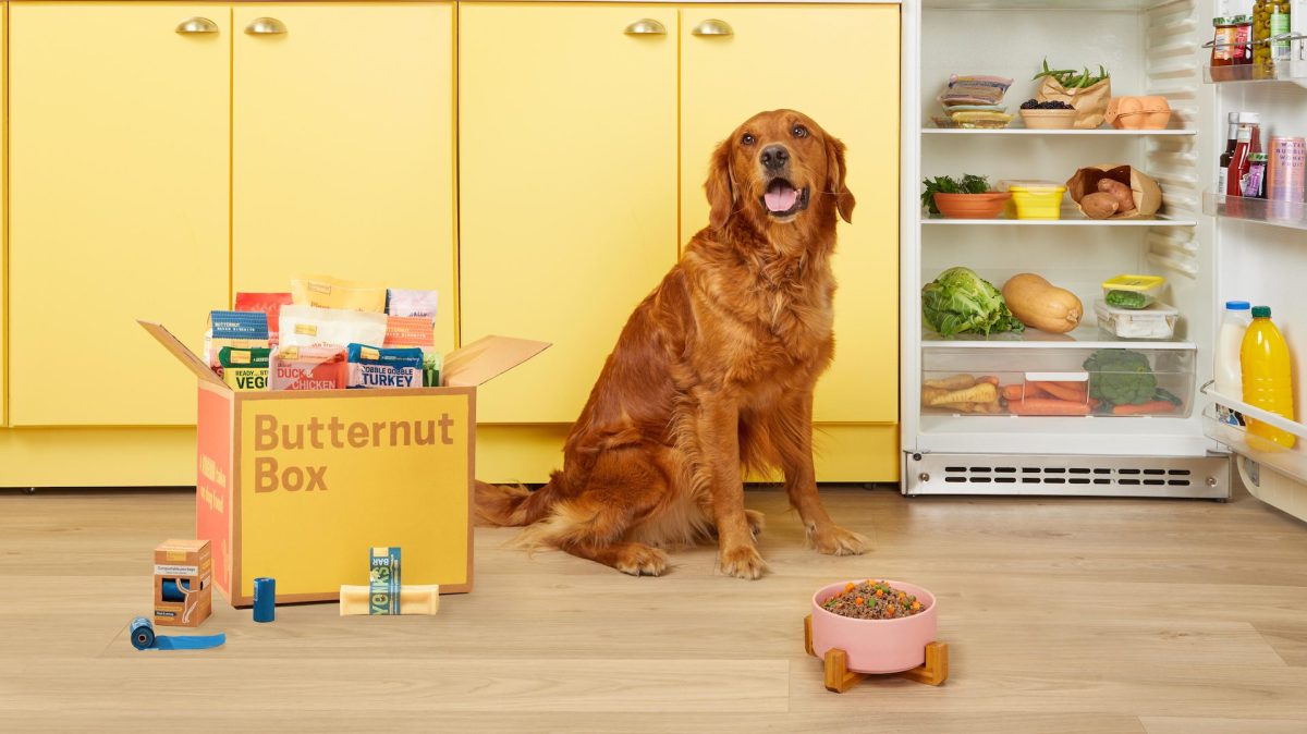 Featured image for Butternut Box Secures £354M Investment for Canine Cuisine Subscription Service