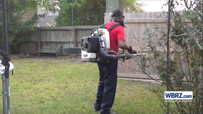 Mosquito Population Soars Amidst Drought in Louisiana