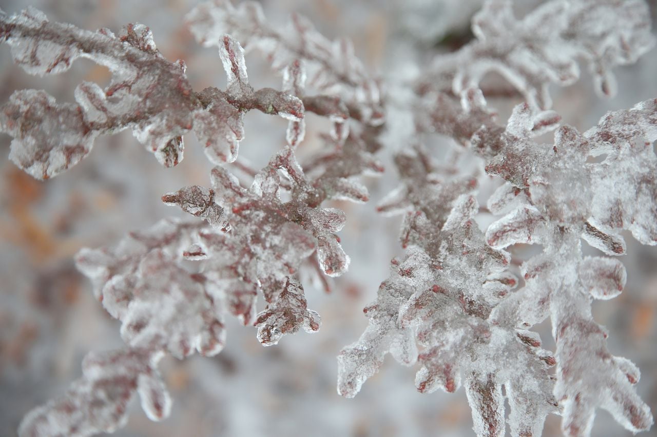 Portland Braces for Midweek Ice Storm Amid Winter Weather Warnings