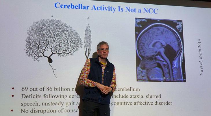 Featured image for "Insights on Consciousness from Neuroscientist Christof Koch"