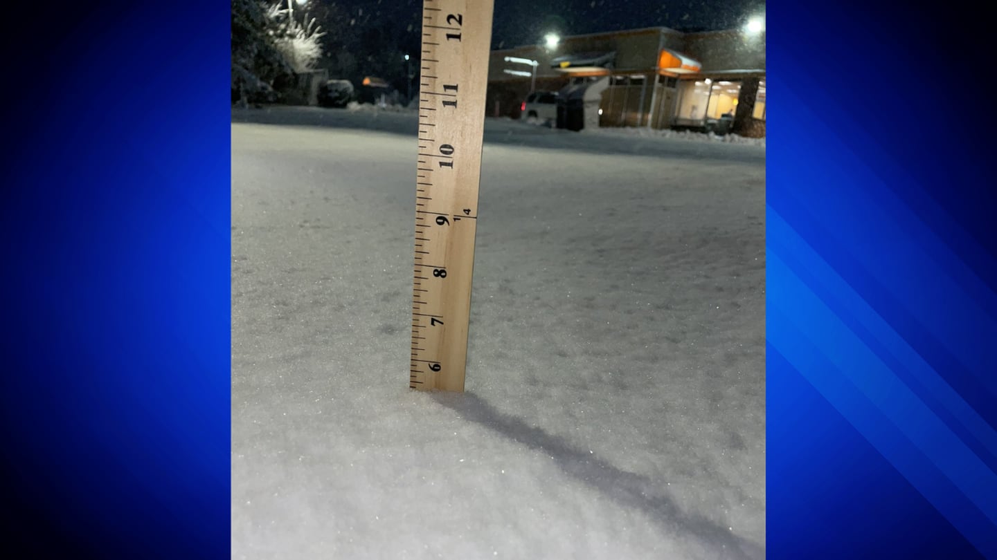 "Northeast Snowfall Report: Top Massachusetts and New York Communities Hit Hardest"