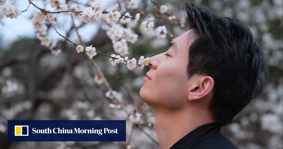 Featured image for "Enhancing Your Sense of Smell Boosts Memory and Cognitive Abilities"