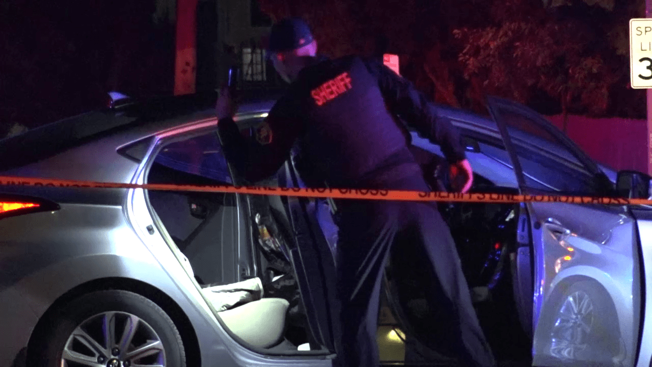 Fatal Law Enforcement Shooting in San Leandro After High-Speed Chase and Struggle