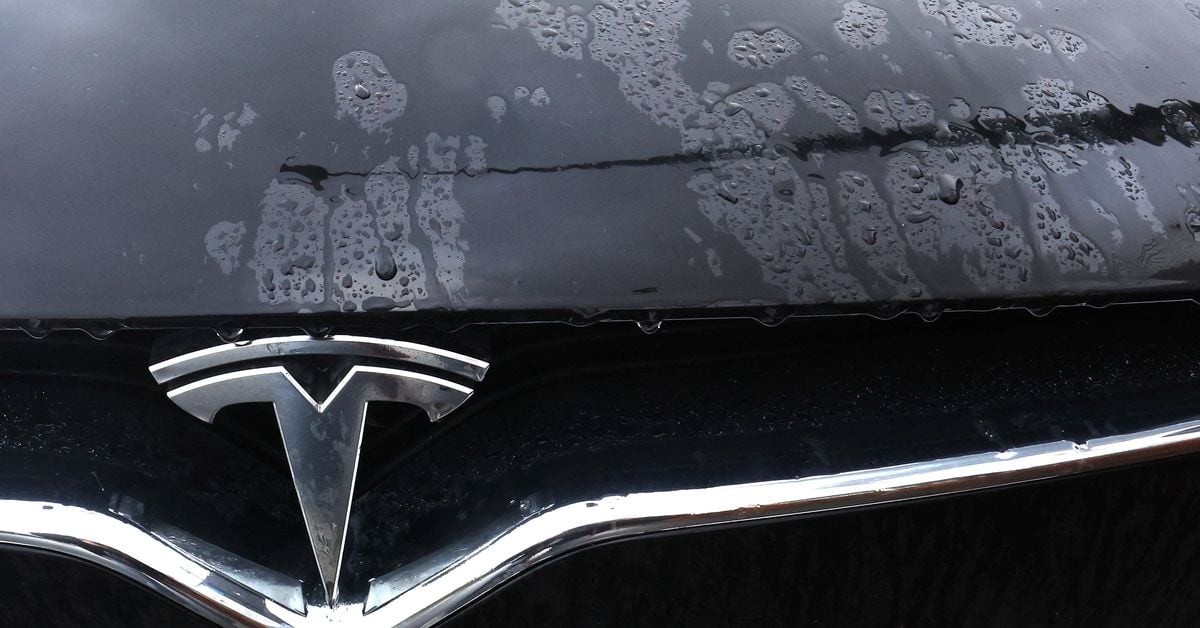 Tesla Takes Legal Action Against Sweden for License Plate Blockage: DI Report