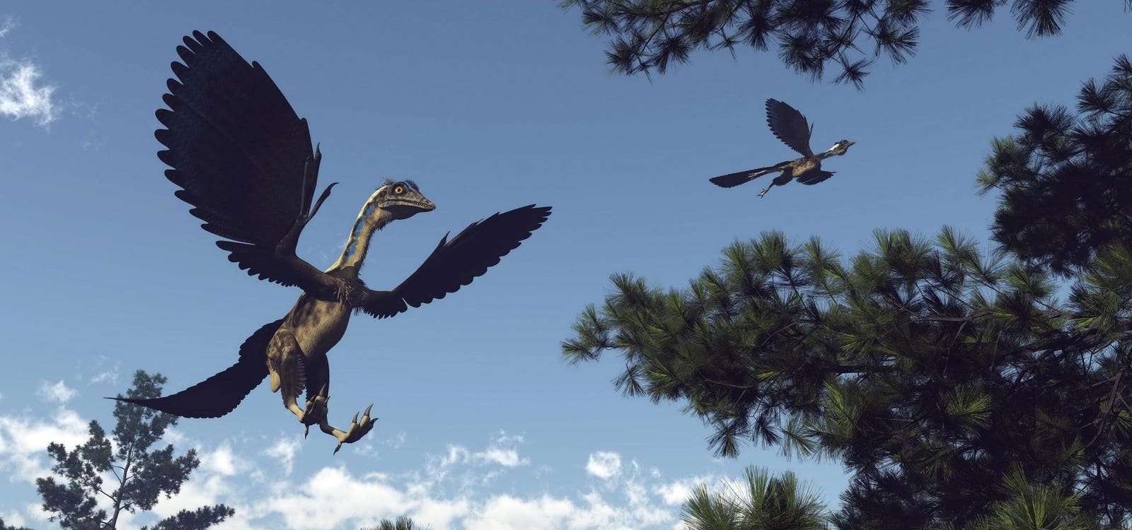 Featured image for "New Fossil Reveals Birds' Evolutionary Flight Path"