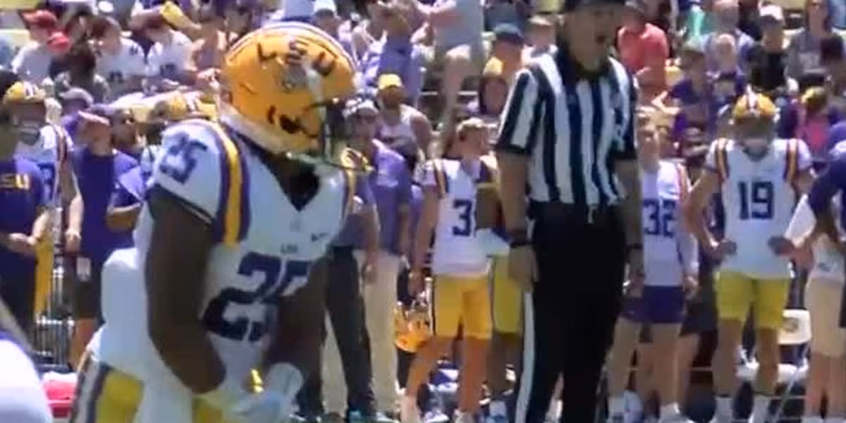 LSU Running Back Trey Holly Arrested for Attempted Murder