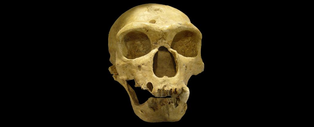 Featured image for Space Physicist Proposes Radical Theory on Neanderthal Extinction