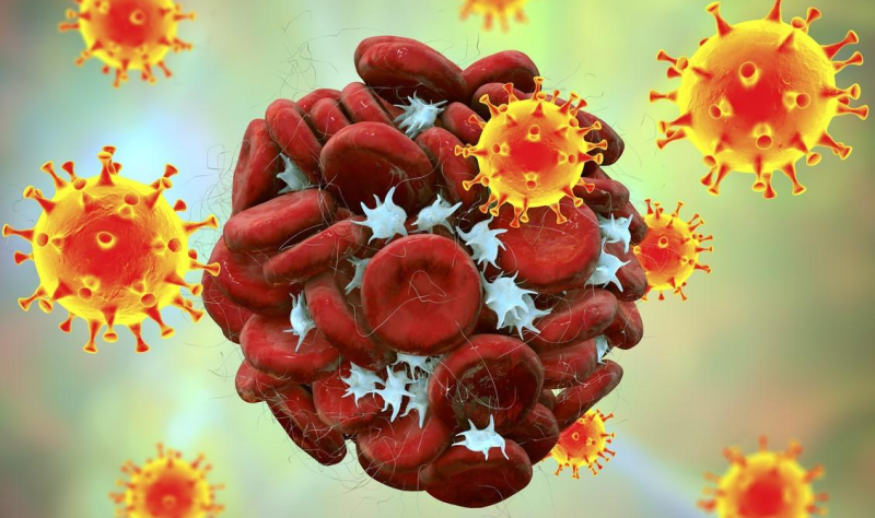 Featured image for Viral Infections Significantly Increase Heart Attack and Stroke Risks