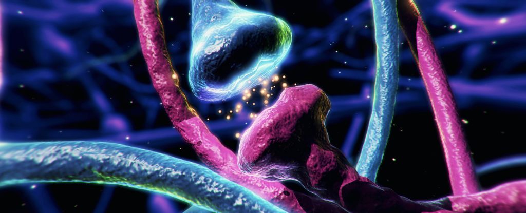 Featured image for Reevaluating Dopamine's Role in the Brain