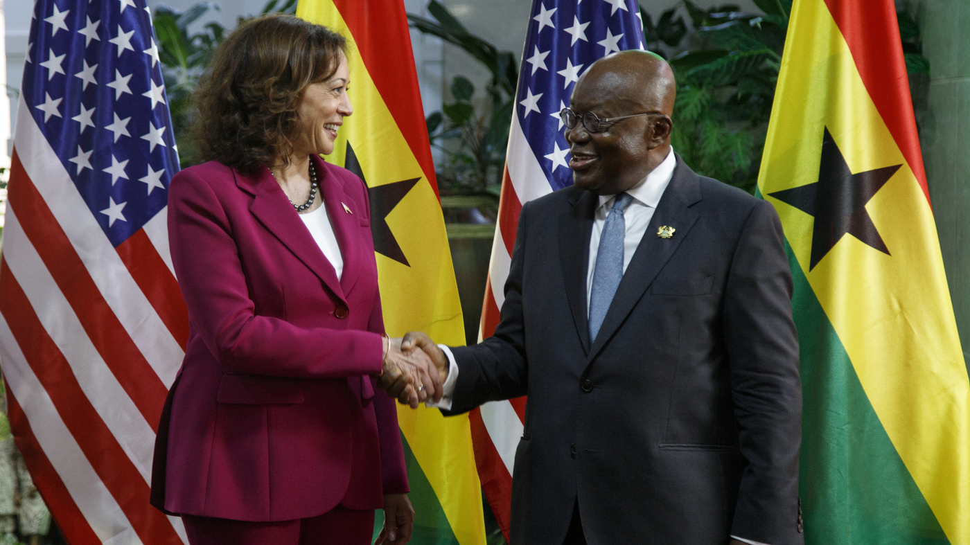 "VP Harris addresses security and economic concerns on Africa trip"