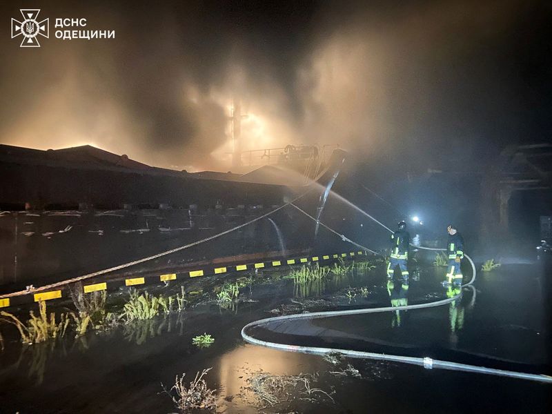 Featured image for Odesa Zoo Rescues Birds After Oil Spill Amid Conflict