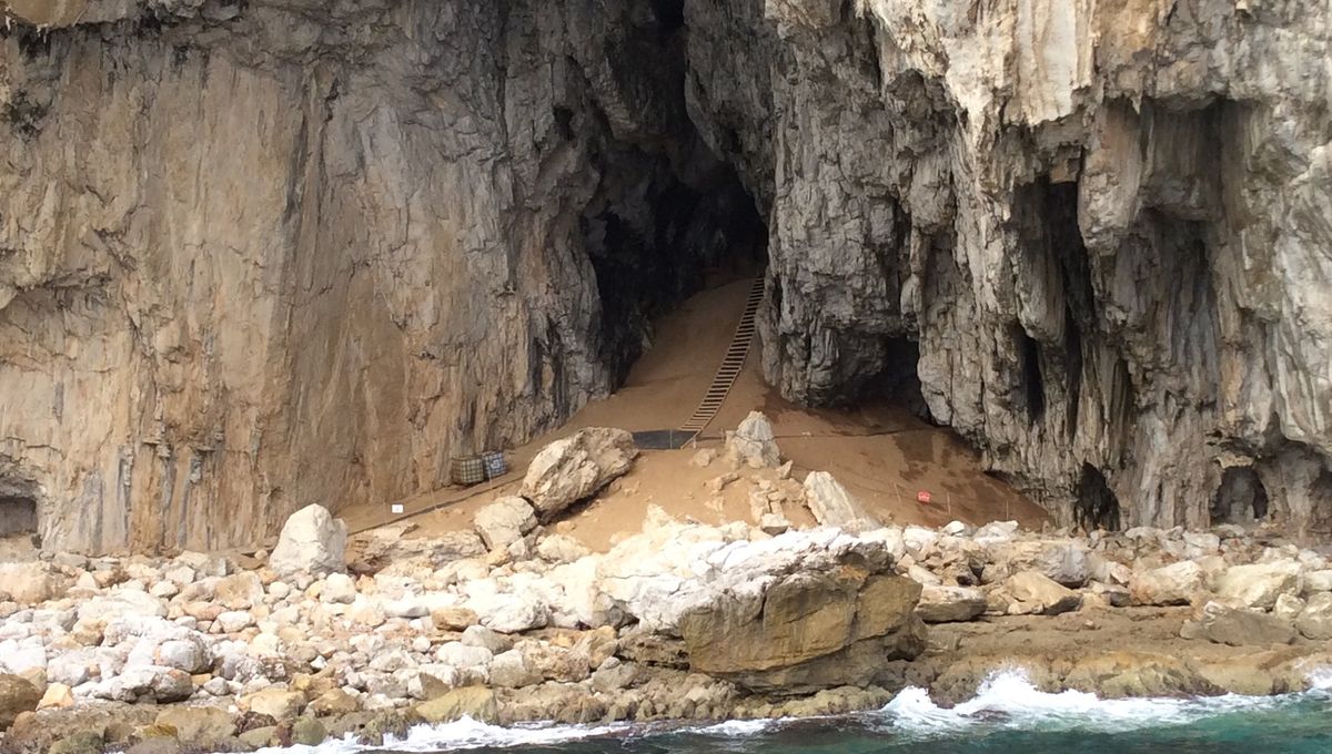 Featured image for Ancient Neanderthal Glue-Making Oven Discovered in Seaside Cave