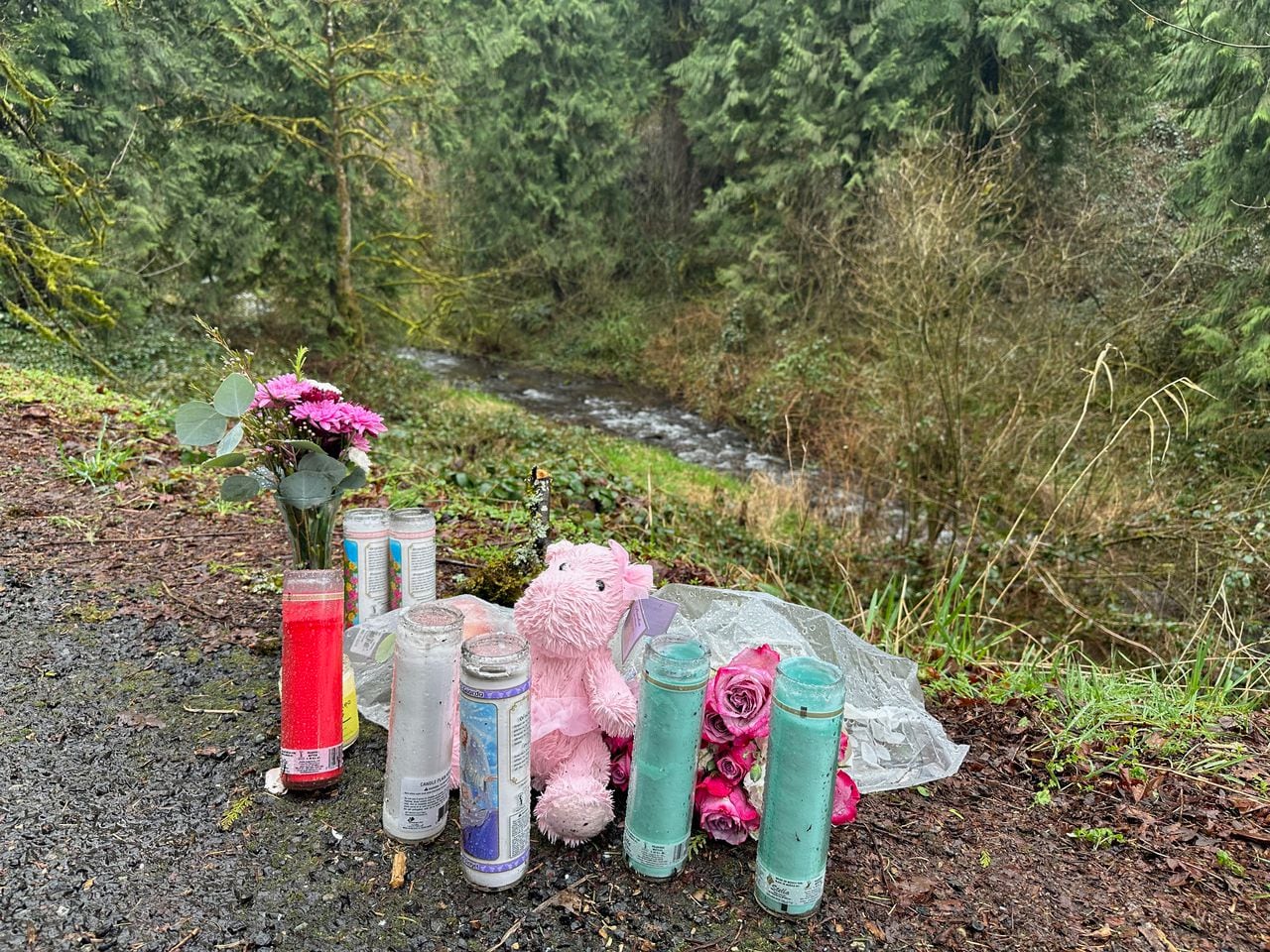 Tragic Domestic Violence Case Unfolds in Vancouver and Washington