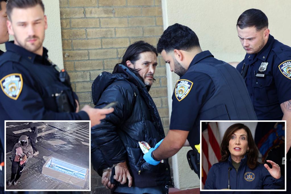 Retailers in New York demand state action as shoplifting rings cause billions in losses