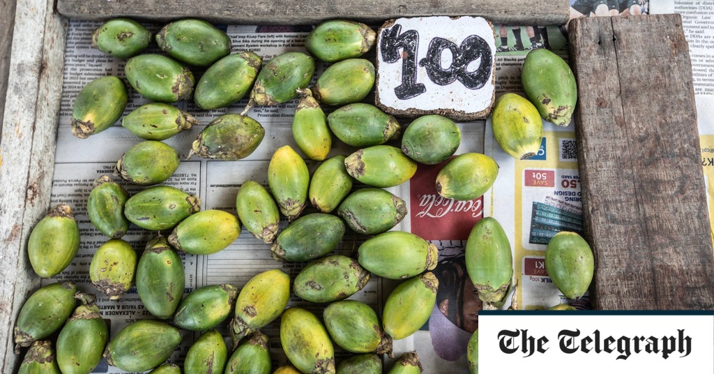 Featured image for The Alarming Link Between an Addictive Nut and Skyrocketing Cancer Rates