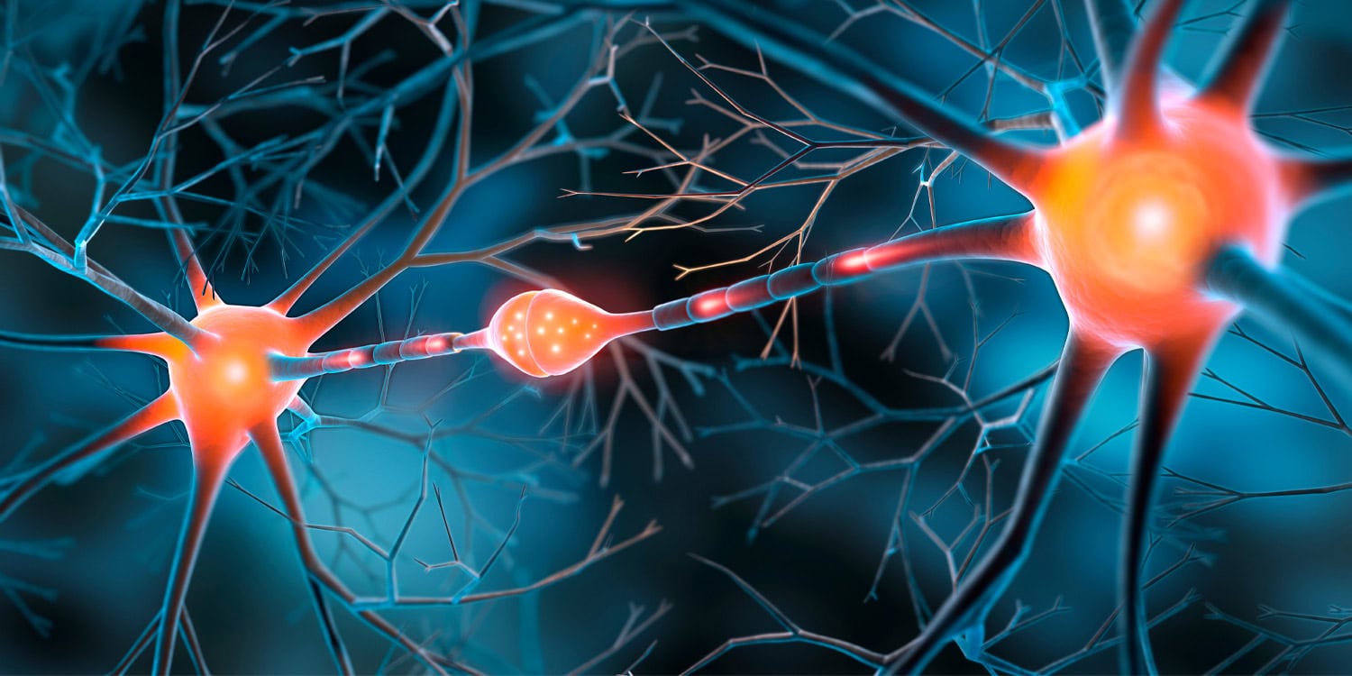 Gender Differences in Brain's Threat Response Pathways