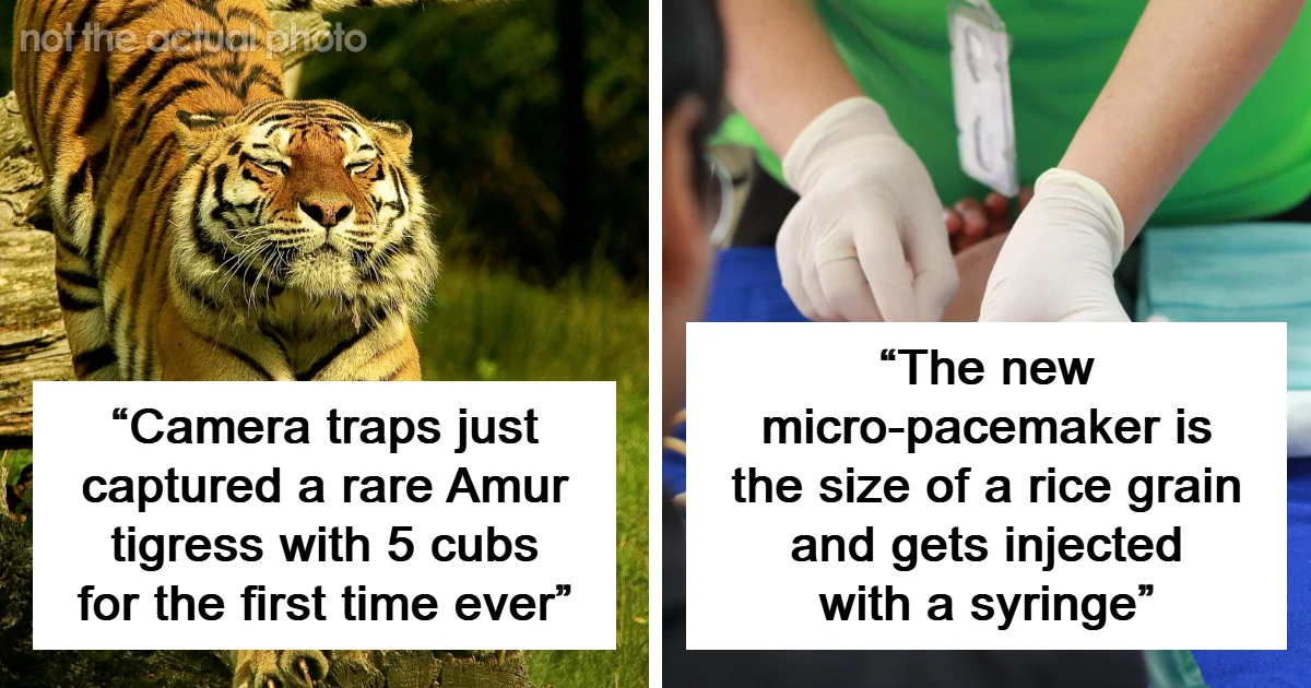 Memorable Facts That Stay With You