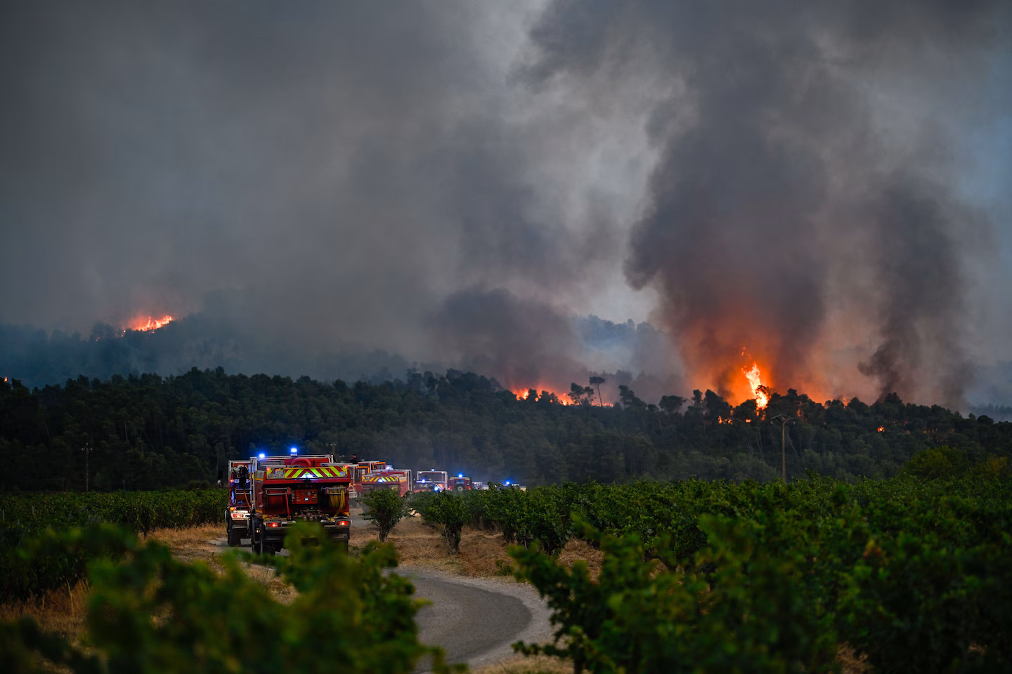Deadly Wildfire in France Burns Area Larger Than Paris, One Killed