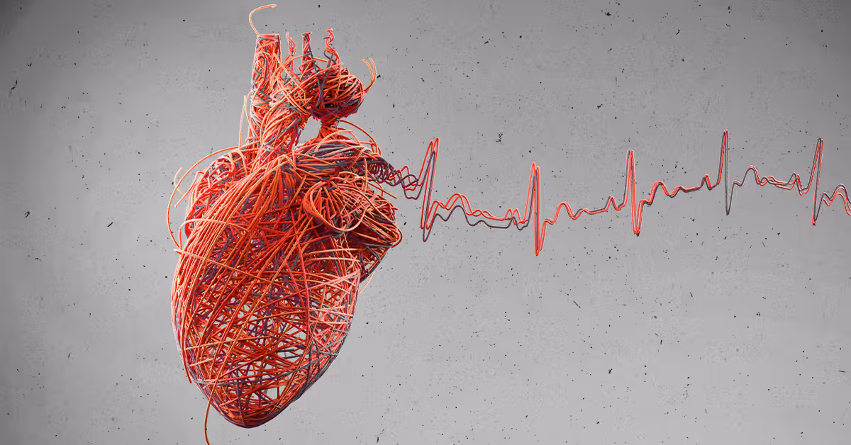 Featured image for New Study Links Bacterial Infections to Heart Attack Risks