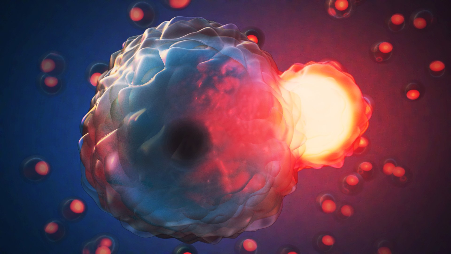 Featured image for "Cell Cannibalism Found Widespread Across Life Forms"