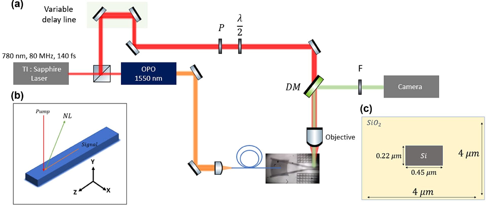 "Understanding Light Propagation in Integrated Circuit Chips"