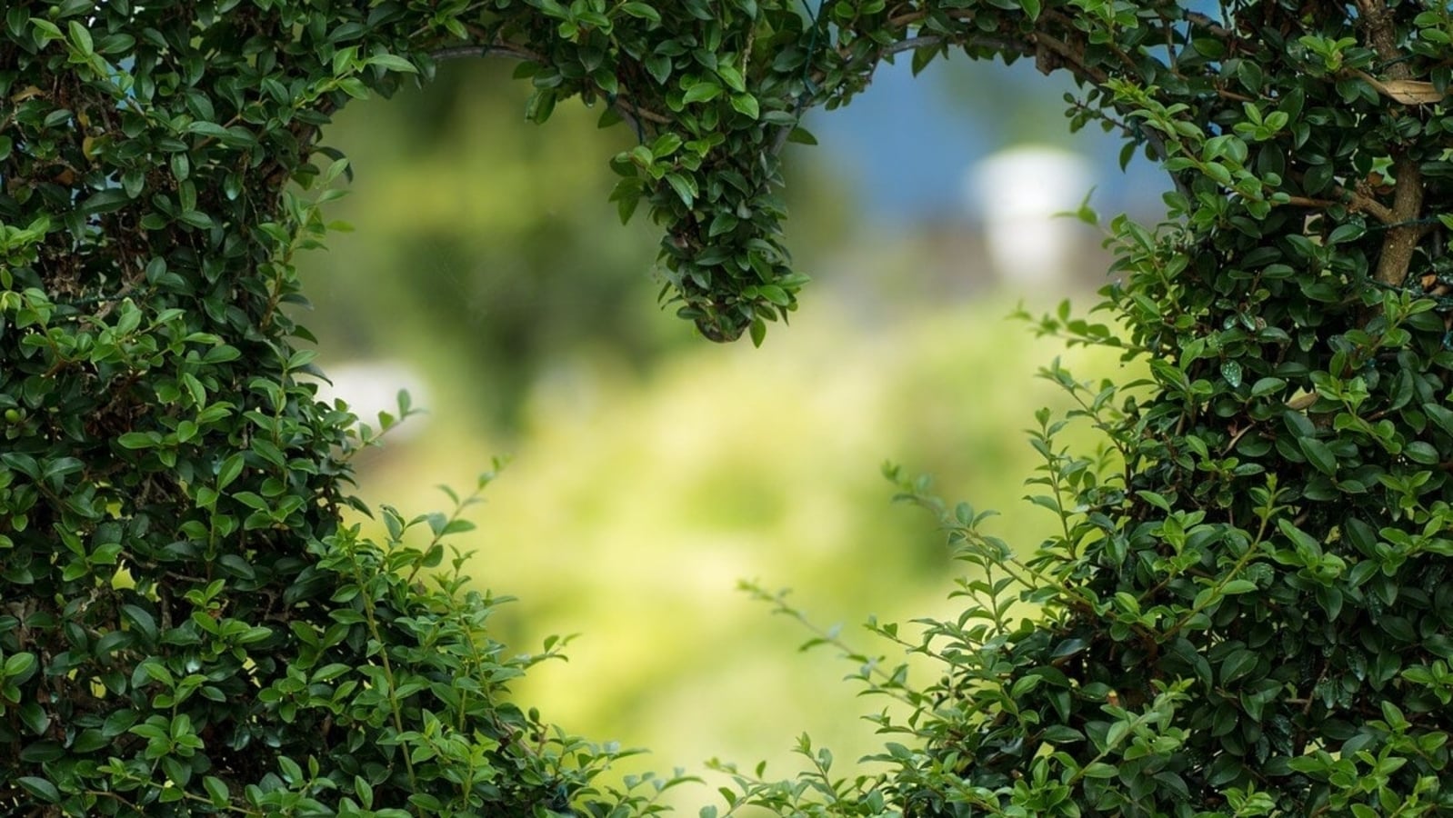 Featured image for "January 27-28, 2024: Love Horoscope and Astrological Predictions"