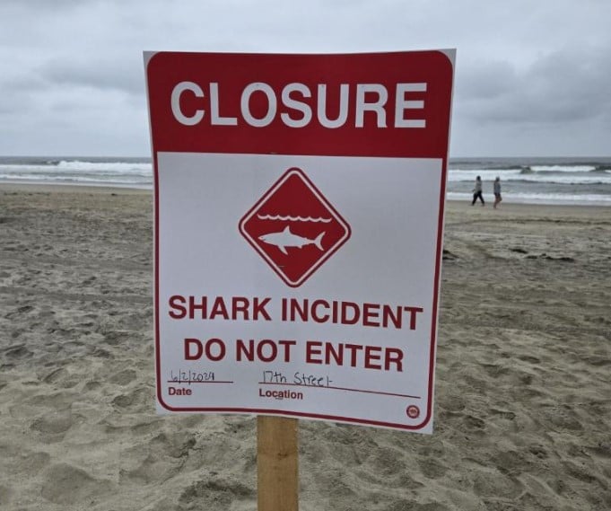 Featured image for Shark Attack Closes Del Mar Beaches