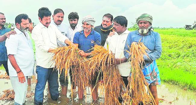 Featured image for Cyclone Michaung wreaks havoc on crops, floods Chennai, and skyrockets vegetable prices