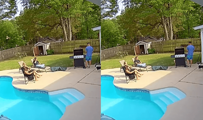 Featured image for "Unlikely Encounter: Bird Launches Fish Into Backyard Fence at BBQ"