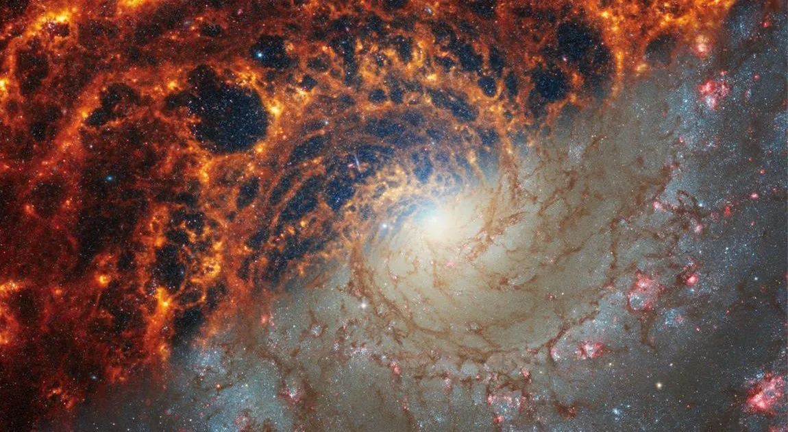 "Creating Galaxies with Mismatched Dark Matter Levels"