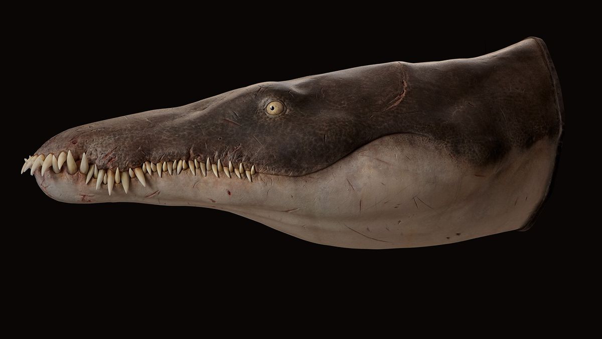 "Jurassic 'Sea Murderer': Oldest Mega-Predator Challenges Preconceptions"
