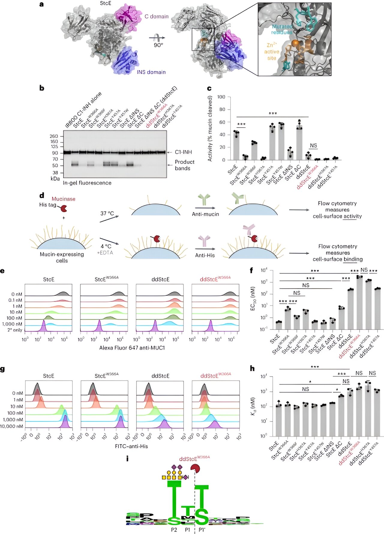 Featured image for "Promising Gene Therapy Unveils Hidden Cancer Cells"