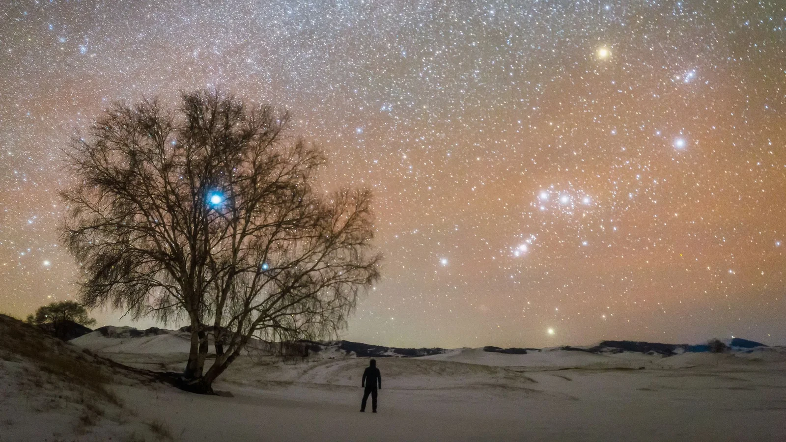 Top Space Events and Sky Wonders to Watch in 2026