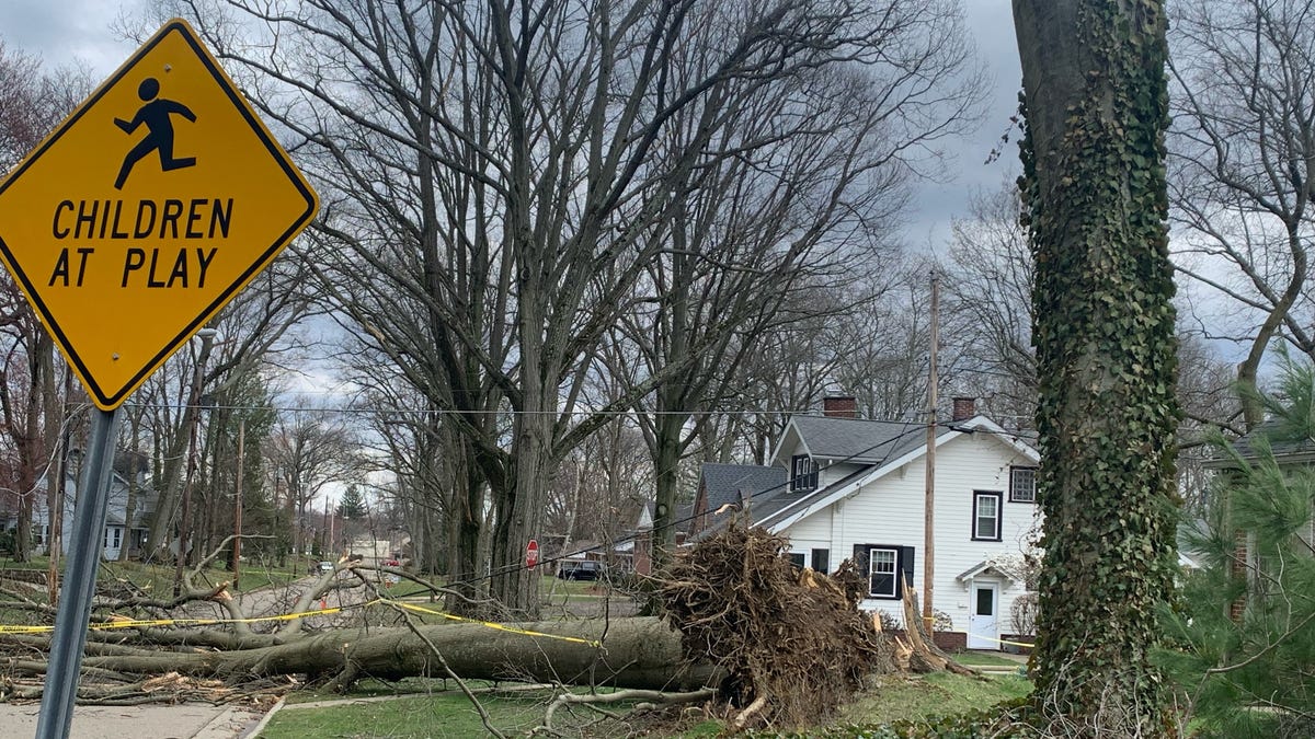 Featured image for Severe storms cause widespread power outages and damage in Ohio and Pennsylvania.