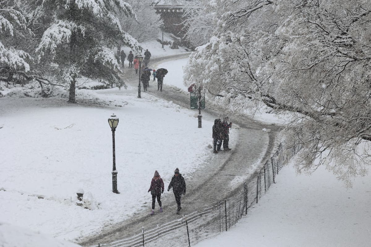 "Nor'easter Brings Chaos and Disappointment: NYC's Snowiest Day in 2 Years"