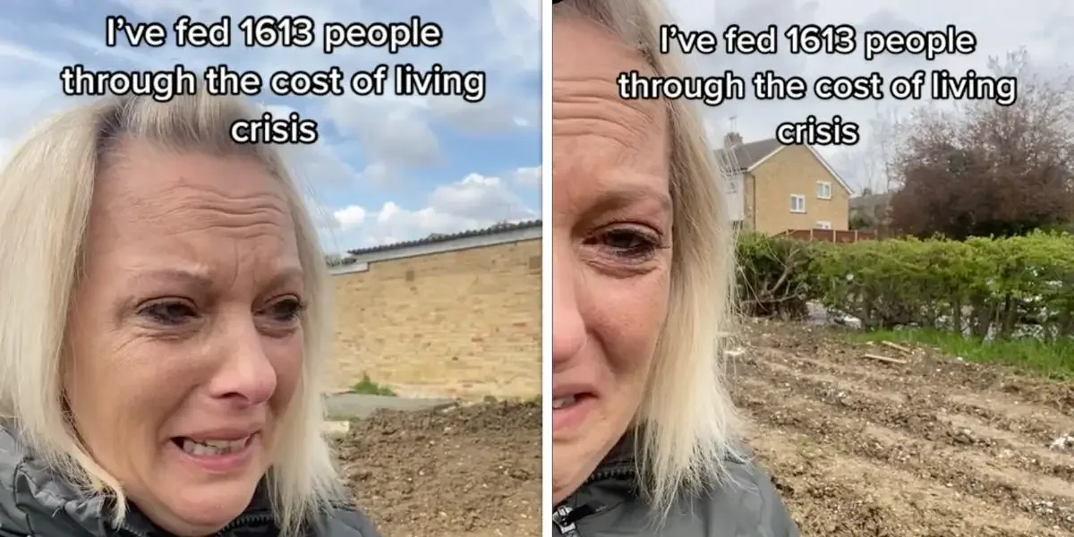 Charity garden destroyed by vandals, TikTokers offer support.