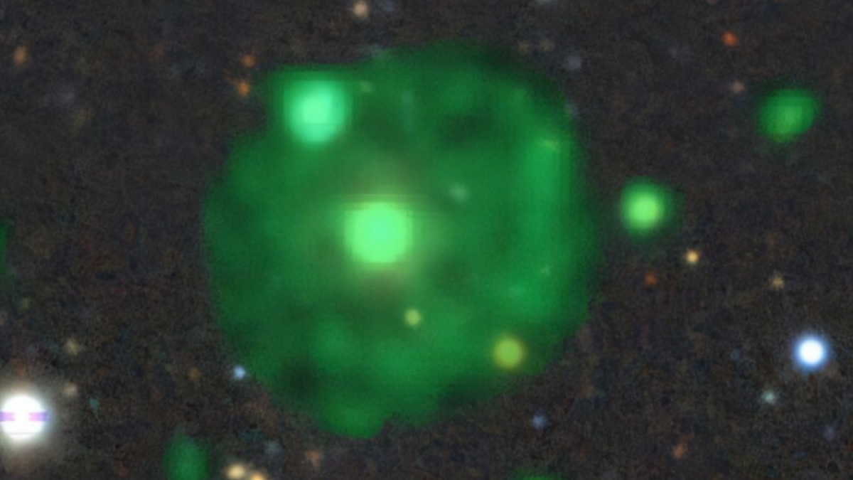Featured image for Astronomers Uncover New Odd Radio Circle with MeerKAT Telescope