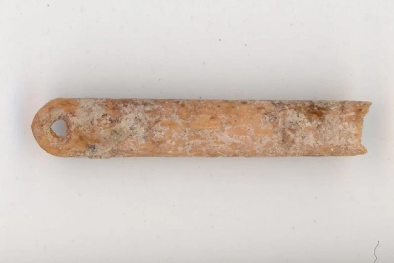 Featured image for Ice Age Sewing: 13,000-Year-Old Needles Reveal Ancient Tailoring Skills