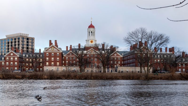 Harvard Condemns Antisemitic Cartoon Circulated on Campus