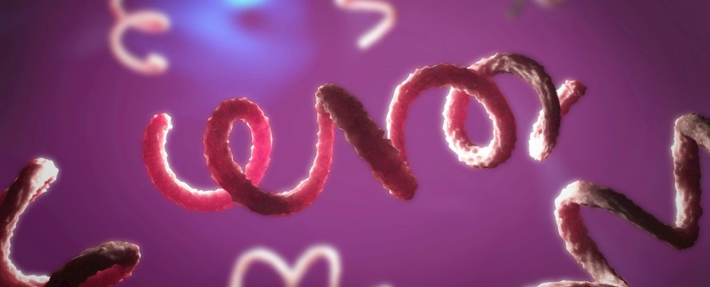 Featured image for "US Faces Alarming Surge in Syphilis, Especially Among Pregnant Women"