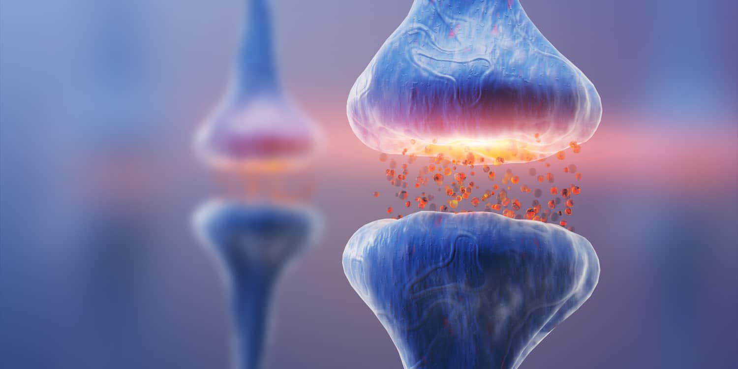 Featured image for "Oxytocin: The Key to Memory and Brain Health"