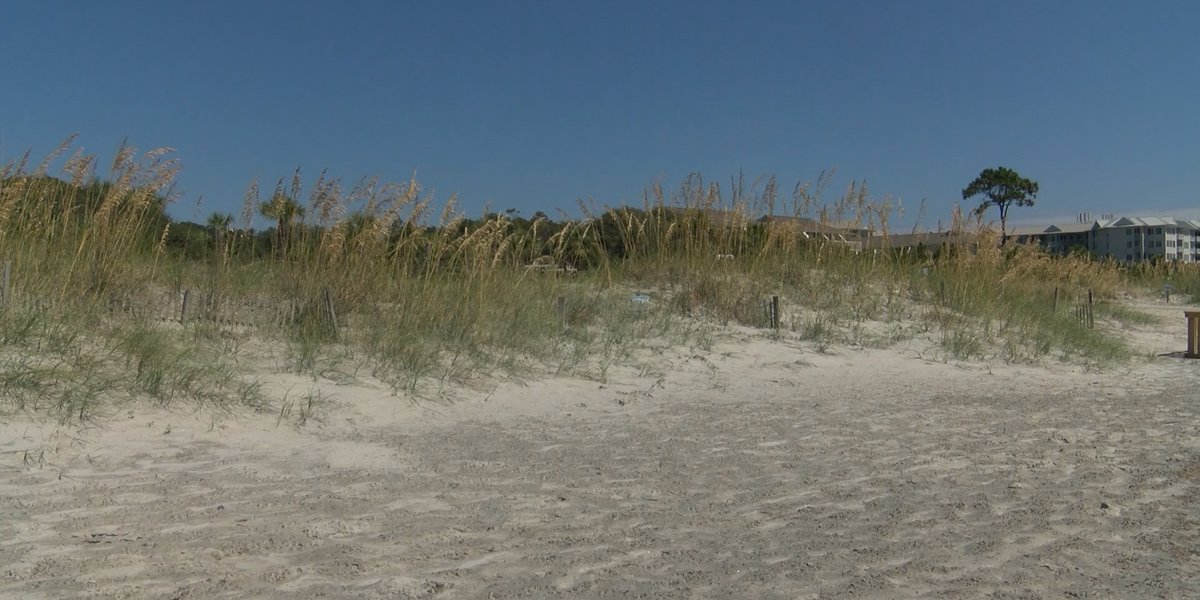 Featured image for Tragic Drownings Strike Beachgoers in Multiple Locations