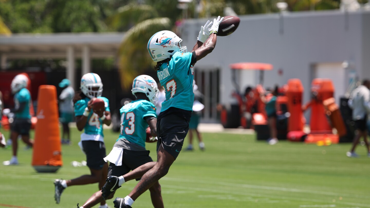 Dolphins Call Off Final Minicamp Practice