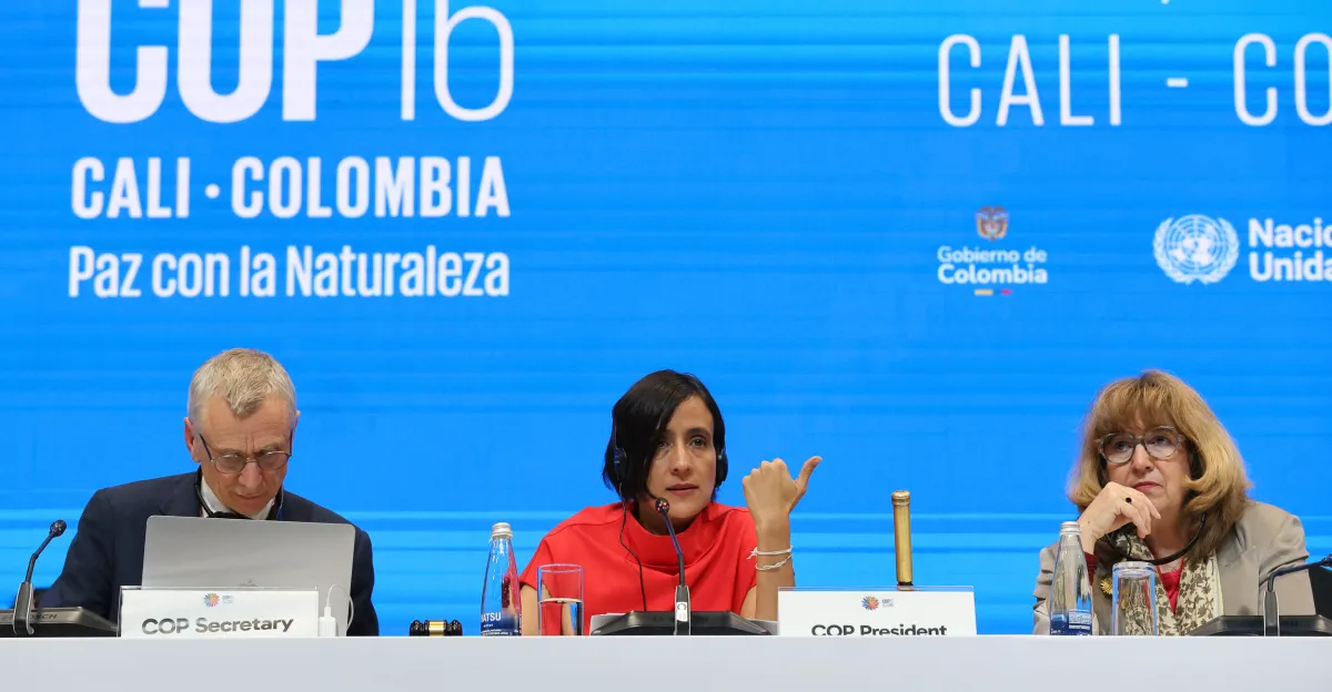 Innovative Funding Strategies for Conservation Emerge Amid COP16 Challenges
