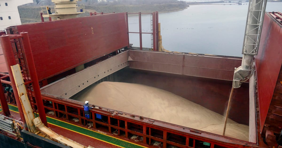"Russia's Suspension of Black Sea Grain Deal Sparks Global Food Security Concerns"