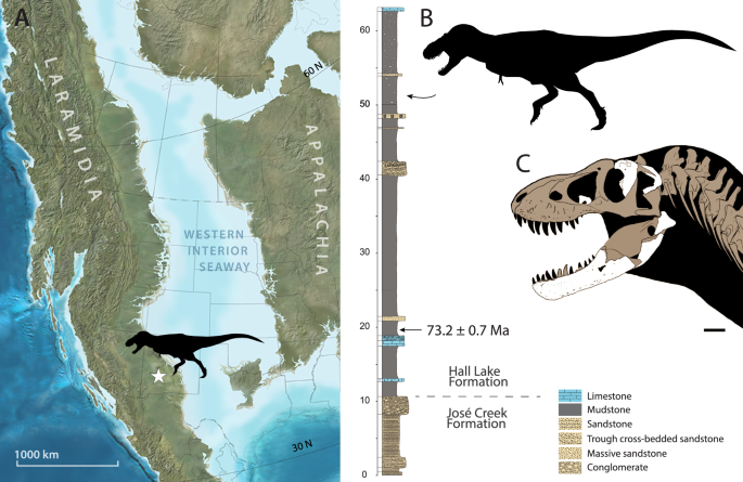 Featured image for "Uncovering the Evolutionary Origins of a Giant Tyrannosaur: New Mexico Fossil Reveals Closest Relative to T. rex"