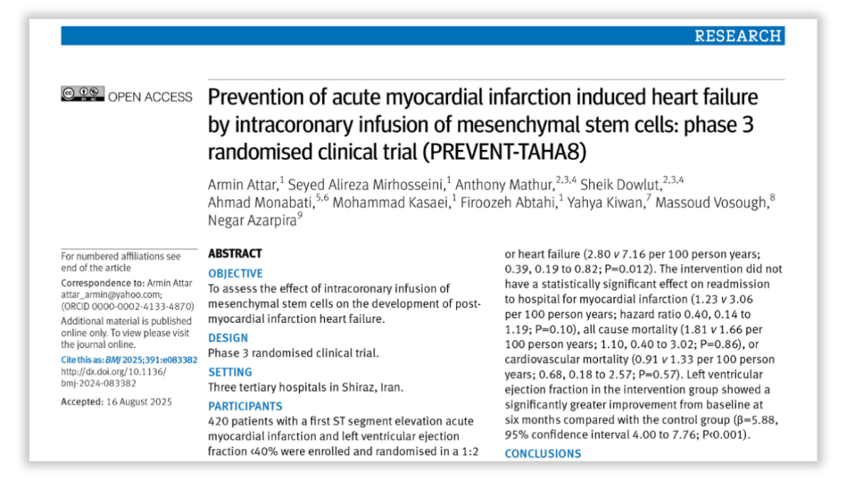 Featured image for Stem Cell Therapy Shows Promise in Reducing Heart Failure Risk Post-Heart Attack