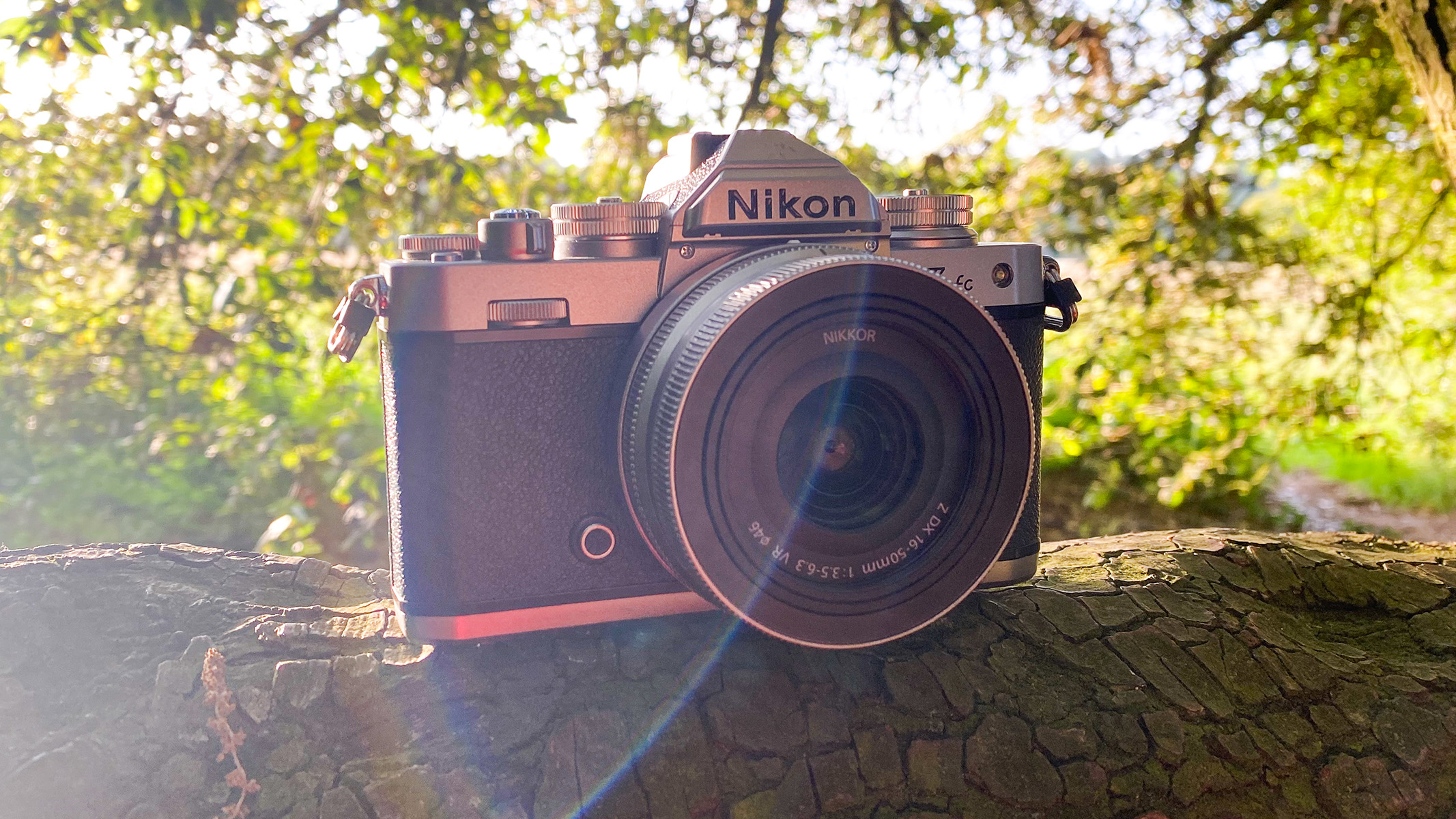 Top Cameras Under $2000 for 2025: Best Picks for Every Budget