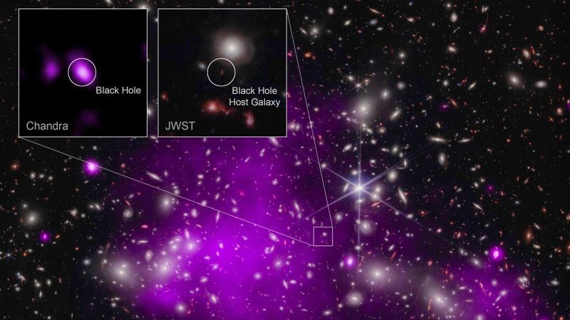 Unprecedented Discoveries: Ancient and Distant Black Holes Unveiled by Chandra, Webb, and NASA Telescopes