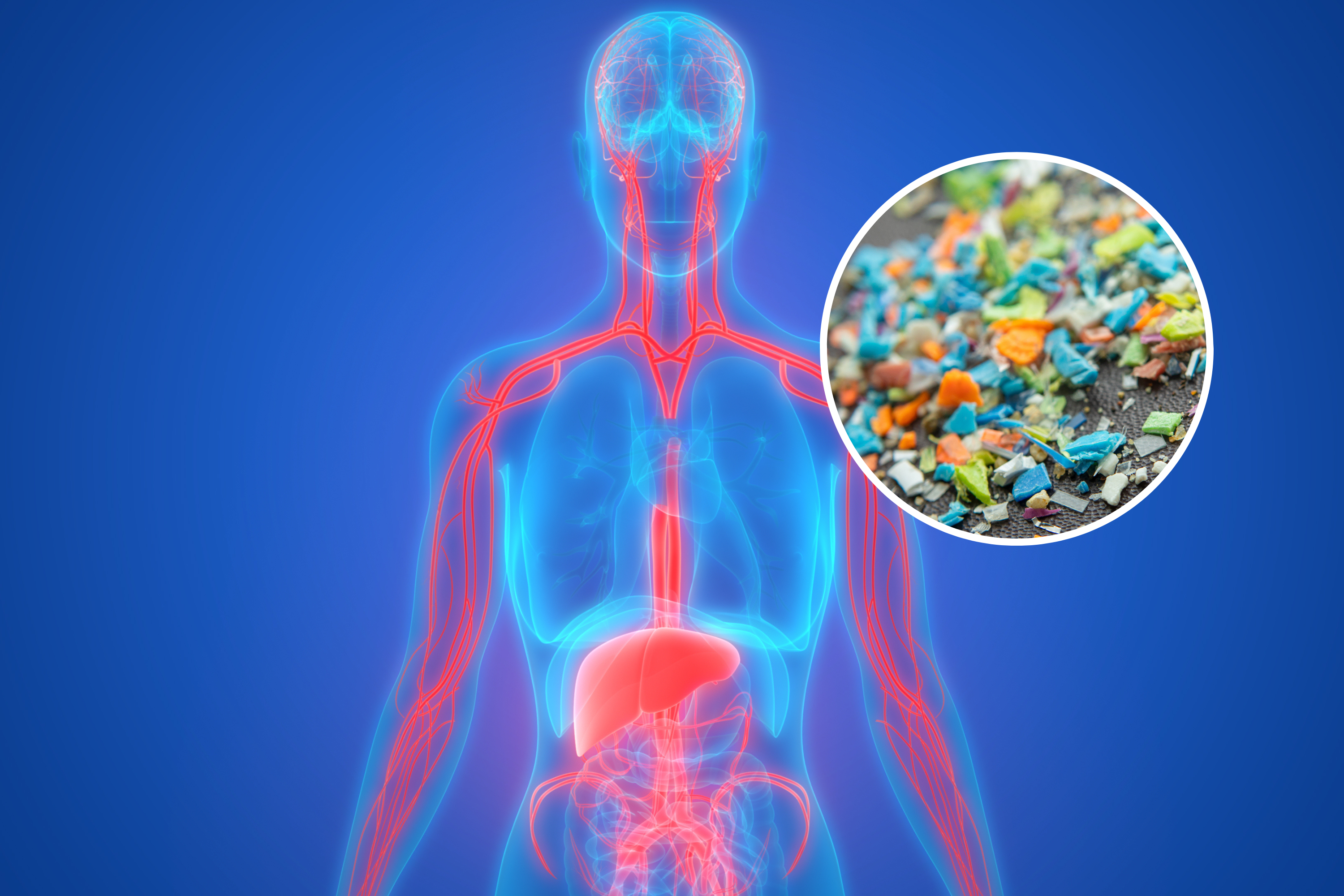 Microplastics Found in Human Brain, Raising Health Concerns